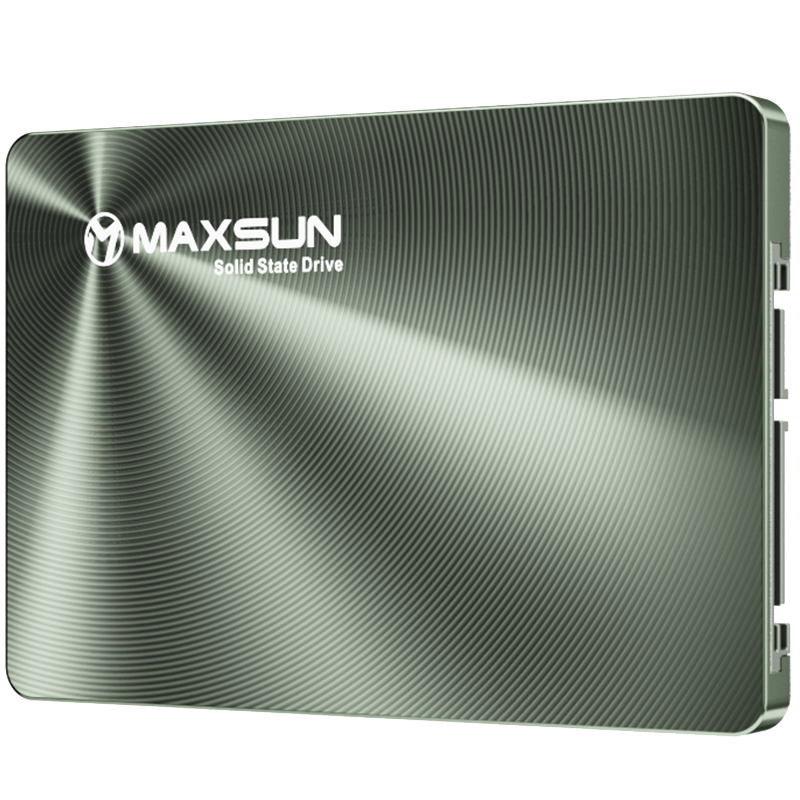 MS-Terminator SSD X5